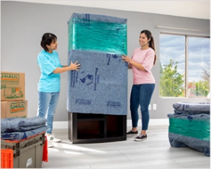 Furniture Pads