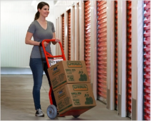 Utility Dolly (Hand truck)